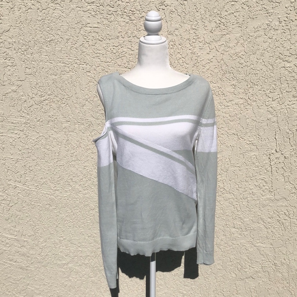 Express one should sweater